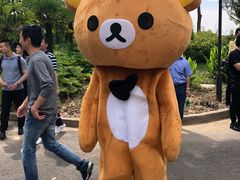 -上海长兴岛郊野公园