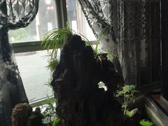 -江南原著(中联广场店)