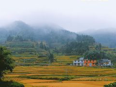 -紫鹊界梯田景区