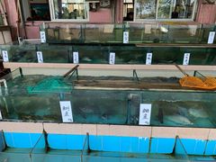 水产区-文海饭店(朝阳路店)