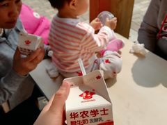 -海珠儿童公园