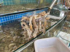 水产区-蟹谢蒸鲜自助餐厅