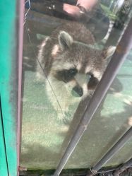 -萌宠亲子动物乐园(槐房万达店)