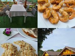 -西涌国际滨海旅游区