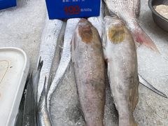 -品味居·首店·大连鲜活海鲜大连菜(东港店)