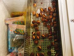 -粒上皇(崇文门店)