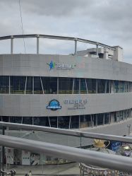 -反弹蹦床公园·运动乐园·团建·亲子派对(深圳观澜湖店)