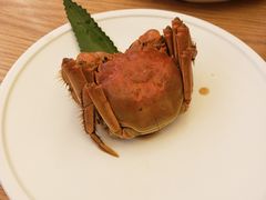 -苏小柳点心·手作小笼包(新街口分院店)