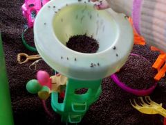 游乐场-苏州河梦清园环保主题公园