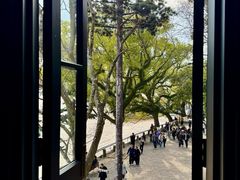 -江心屿景区