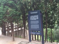 -延安杨家岭革命旧址