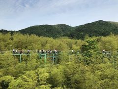 -陶祖圣境风景区