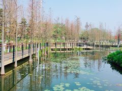 -映月湖公园