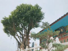 -仓山金山寺