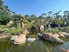 -罗红摄影艺术馆