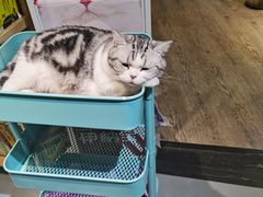 -小时光咖啡馆(开森度假森林店)