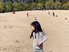 -东郊湿地公园