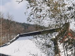 -溪口商量岗景区