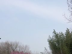 -江苏三台山国家森林公园
