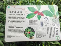 -昆明植物园
