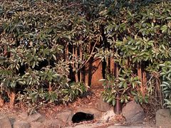 -南京市江宁方山