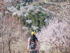 -妙峰山风景名胜区