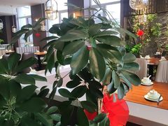 -纪林菜馆·博山菜老字号(华光路店)