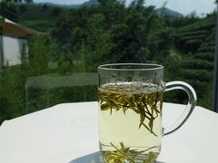 -帐篷客·溪龙茶谷度假酒店