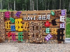 -汤旺河林海奇石景区