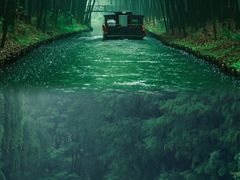 -同里国家湿地公园