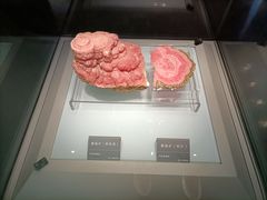 -安徽省地质博物馆