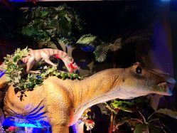 -恐龙探索乐园(磁器口店)