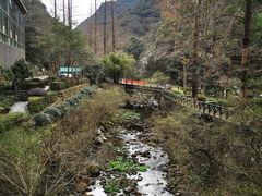 -宁海森林温泉