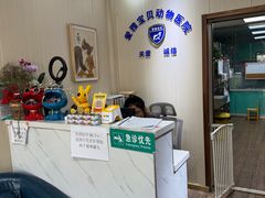 -中农大我爱我爱24h动物医院·中医针灸·猫专科·骨科医疗中心(双井店)