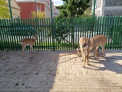-清风小镇闯关东影视基地