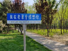 -老君堂公园
