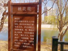 -桃花堤公园