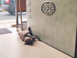 -幸运7纹身刺青Lucky7tattoo