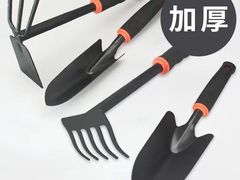 -上海佘山国家森林公园天马山园