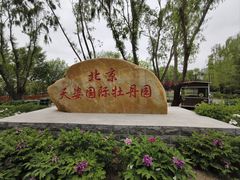 -太阳宫公园