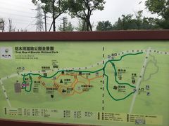 -桤木河湿地公园