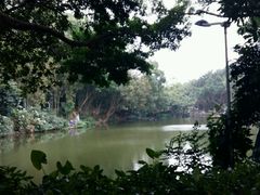 -人民公园(罗湖区)