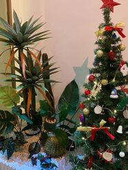 -EC BEAUTY易思美容