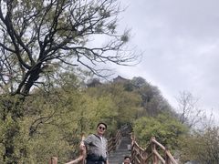 -神农山景区