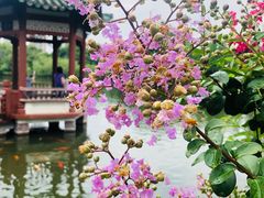 -东莞市可园博物馆