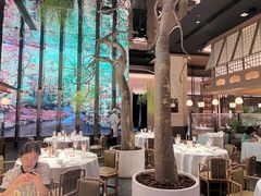 -桂满陇·海市蜃楼·黑金(国金店)