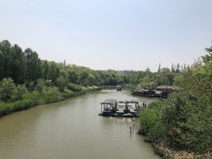 -上海长兴岛郊野公园