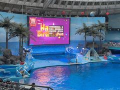 -海合安成都极地海洋公园