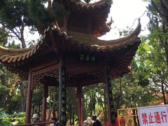 -嘉定紫藤园