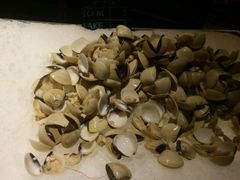 -星汇餐厅(新濠影汇店)